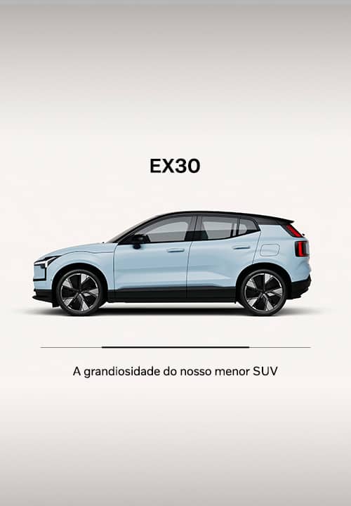 ex30-mobile